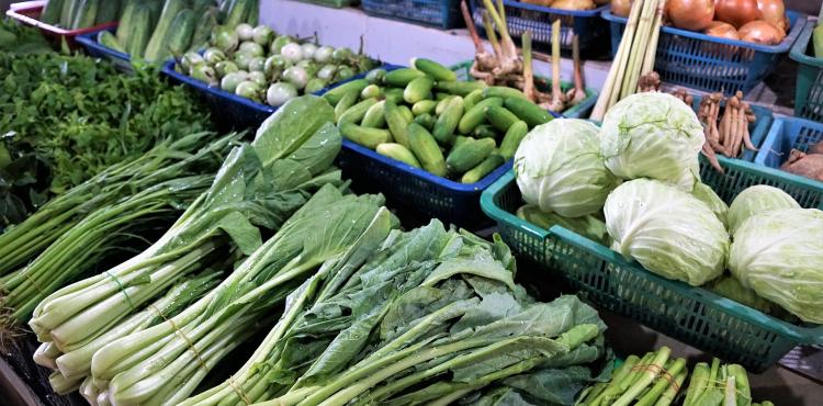 prodotti alimentari