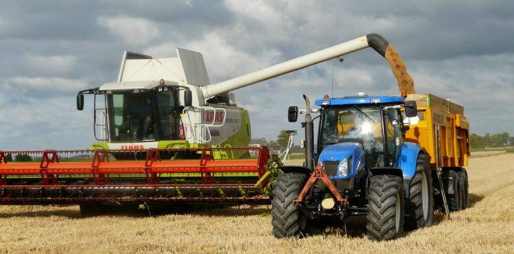 Agricoltura